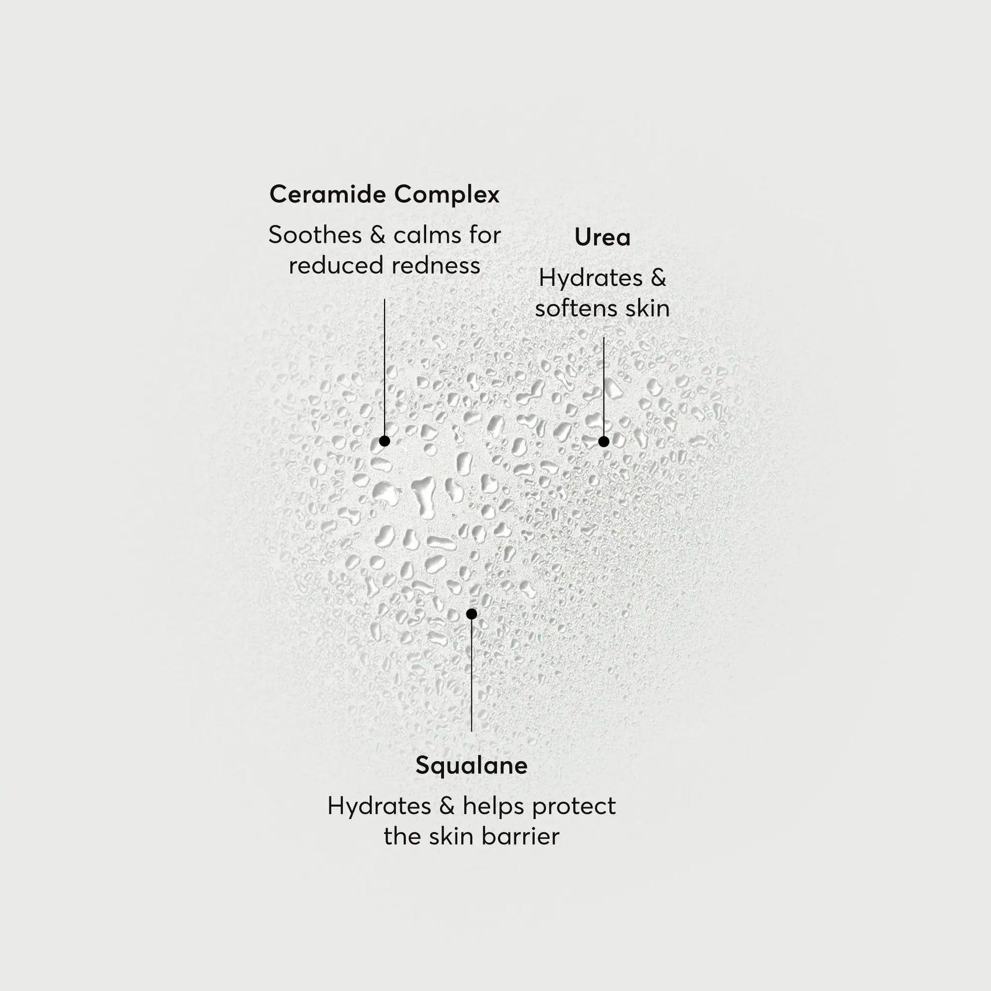 barrier-bounce-bi-phase-mist-g0 NATR-10167-Alt-Images-Barrier-Bounce-Bi-Phase-Toner-Mist_01.webp